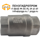 Клапан обратный 1/2″ Ду15 Ру16 (VCS3232P-T) резьбовой, пружинный, нержавеющая сталь 316, уплотнение - PTFE